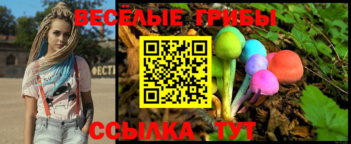 Псилоцибиновые грибы GOLDEN TEACHER Муравленко