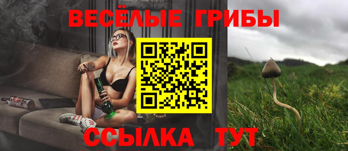 Псилоцибиновые грибы Magic Shrooms  Вход с VPN  купить наркоту  Муравленко 